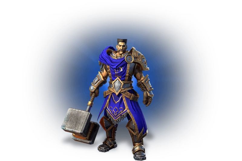 Paladin hero