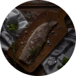 fish 1