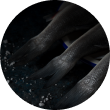 fish 3