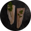 fish 6